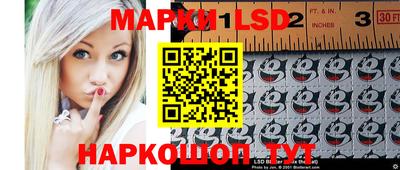 гидропоника Гусев