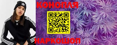 гидропоника Гусев