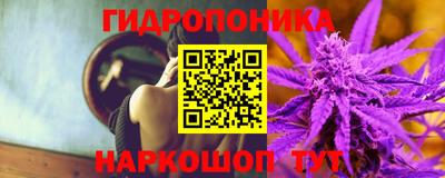 спиды Гатчина