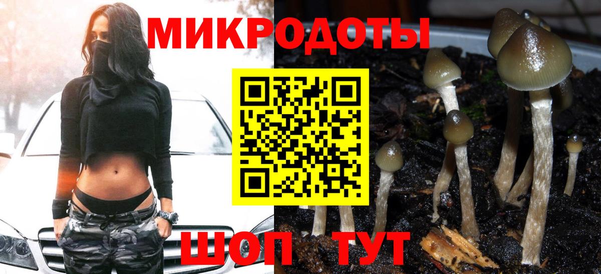 где купить наркотик  Вход с VPN  Карабулак  Псилоцибиновые грибы Cubensis  Галлюциногенные грибы Magic Shrooms 